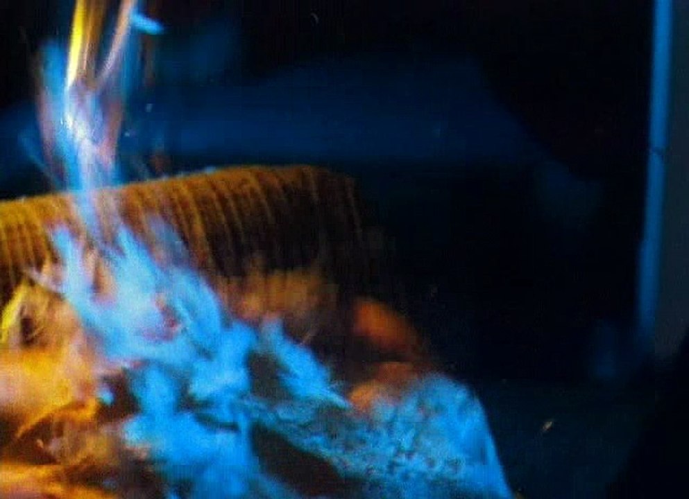 Eralach.(103.vypusk.iz.233).1994.XviD.DVDrip