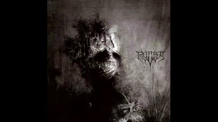 Infestus   Mirror Mind Reality