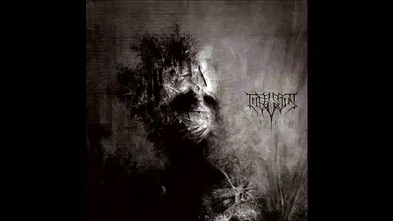 Infestus   Mirror Mind Reality