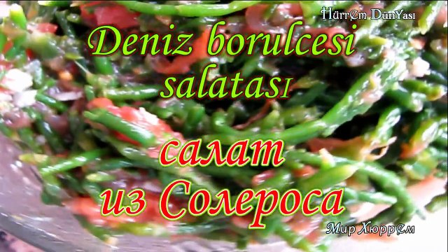 Deniz börülce salatası. Салат из солероса. Турецкая кухня