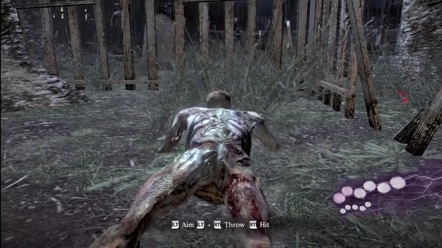 RESIDENT EVIL 6 [HD] AGENT HUNT MODE SUCCESSFUL HUNT (24TH) ROLFMFAOLLLLLLL