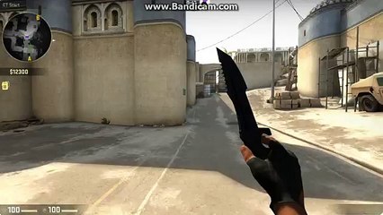 Huntsman Blue Steel & StatTrack AK Elite Build SHOWCASE