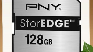 PNY P-MEMEXP128U1-EF - Tarjeta de memoria SecureDigital de 128 GB plateado