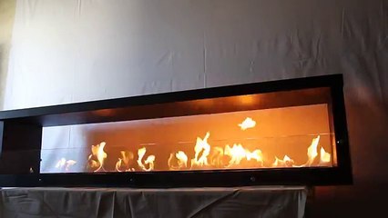 Встраиваемый очаг ТМ Wild Flame