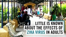 What Is Zika Virus And Should We Be Worried