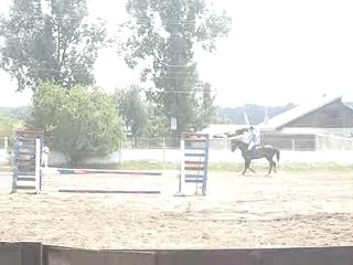 chauffement de chevaux avent concour de saut