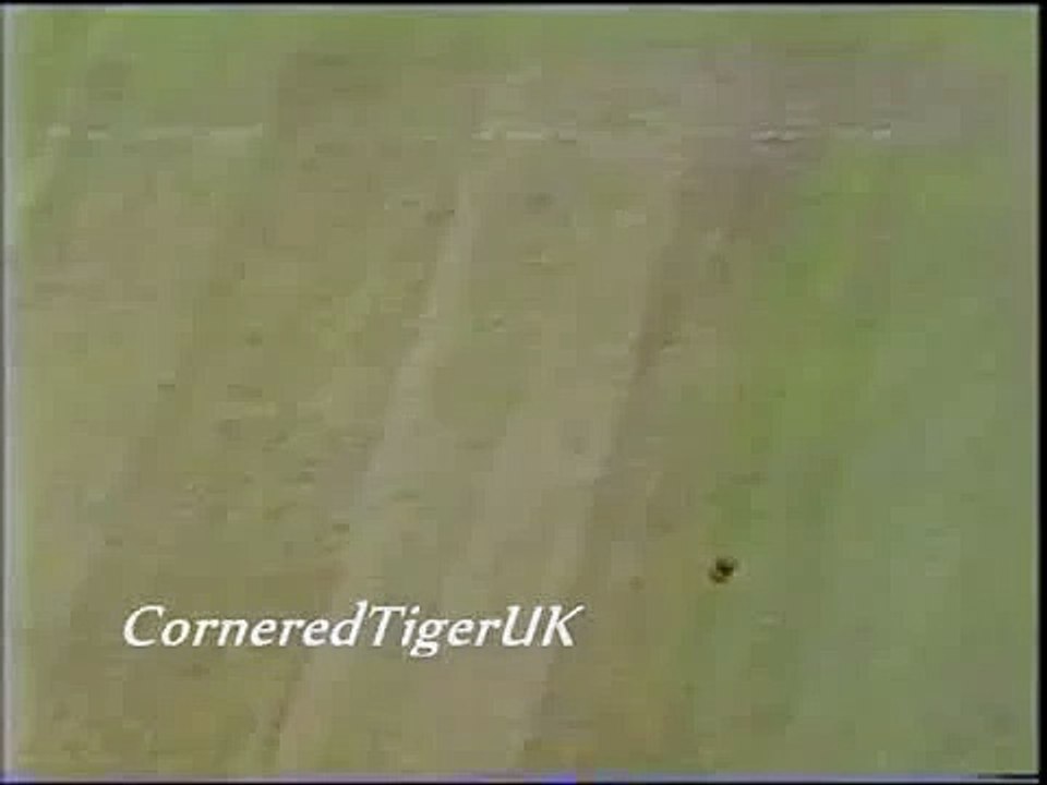 Magnificent Waqar Younis Stunning Six of Darren Gough 2001