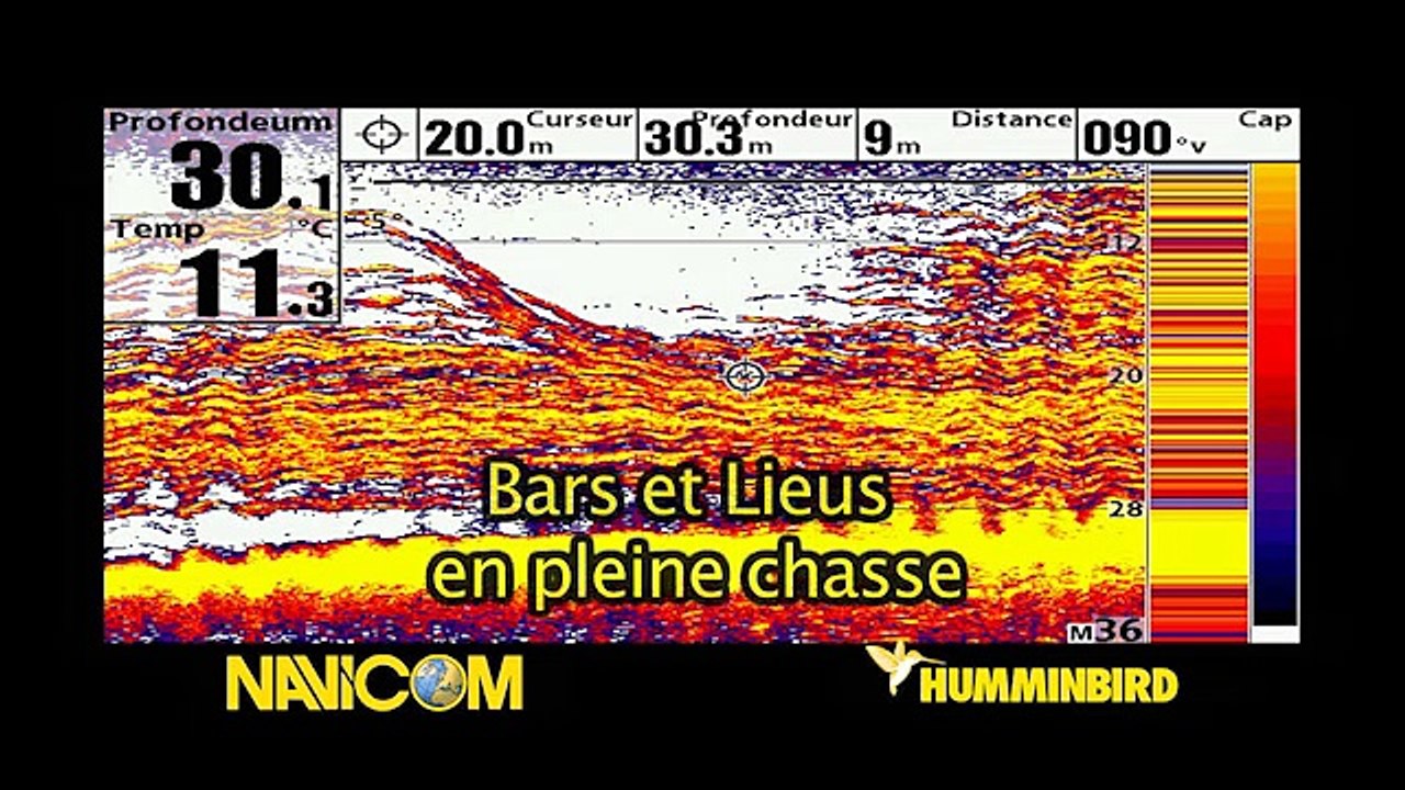 Navicom Captures d'écran Humminbird - Les sondeurs Humminbird 2012