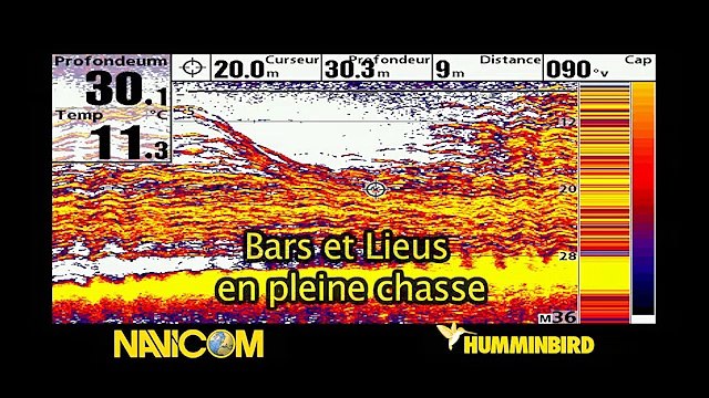Navicom Captures d'écran Humminbird - Les sondeurs Humminbird 2012