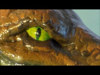 Aurora Prehistoric Scenes Allosaurus  (1970s classic model kit)