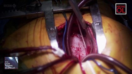 İnside the Human Body B2