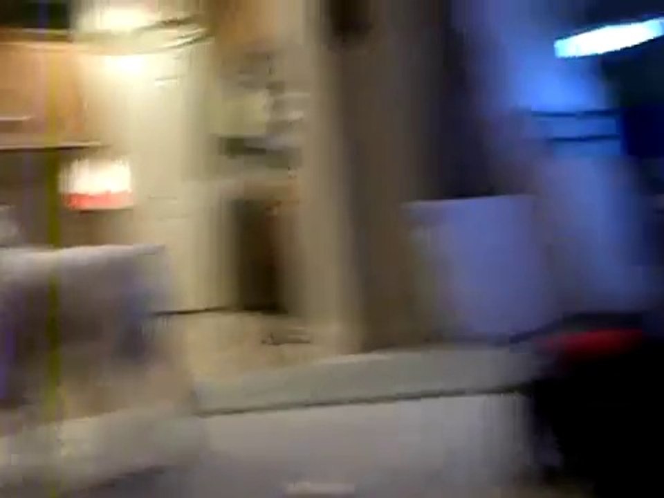 Dog attacks girl!
