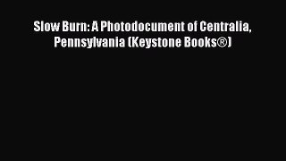 Slow Burn: A Photodocument of Centralia Pennsylvania (Keystone Books®)  PDF Download