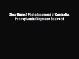 Slow Burn: A Photodocument of Centralia Pennsylvania (Keystone Books®)  PDF Download