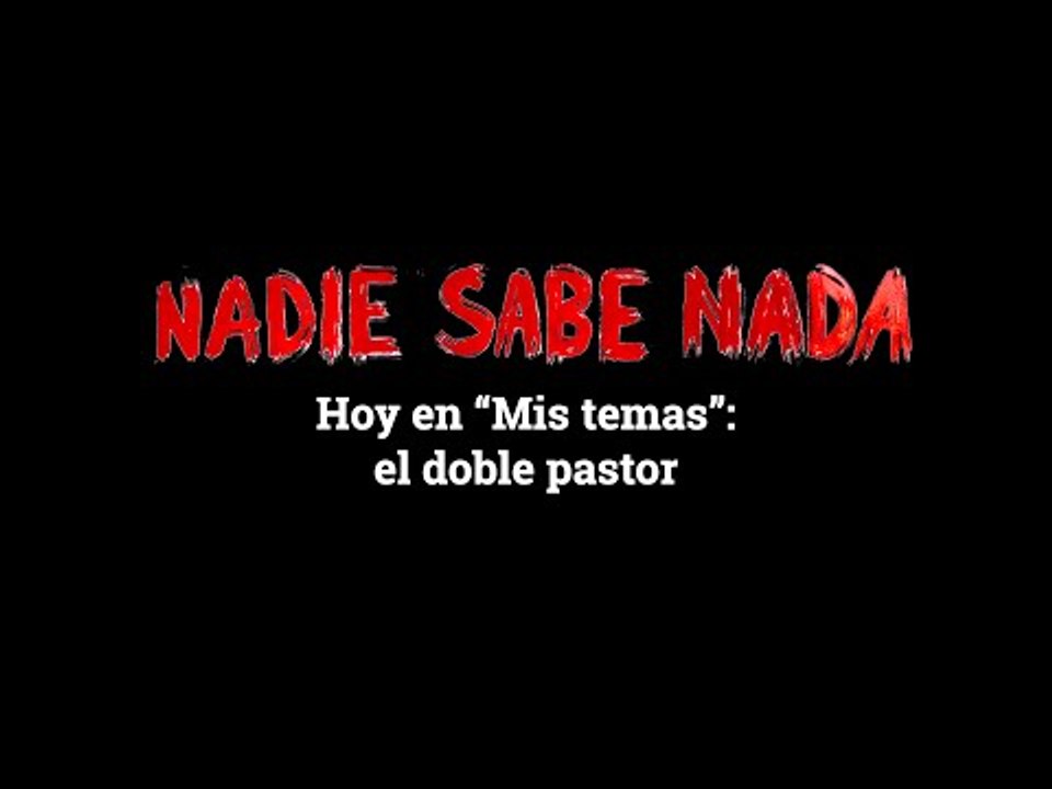Momentos NSN (3x18): El doble pastor