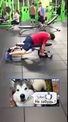 Секретное упражнение Что он качает ?