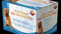 Puppy House Training Pads Secrets Exposed