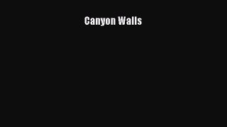 Canyon Walls  Free Books