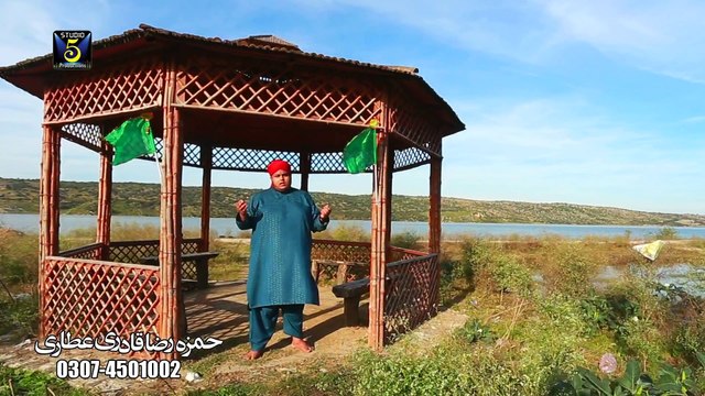 Ya Rasool Allah Tere - Hamza Raza Qadri - New Naat Album [2016]