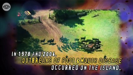 The Secret of Plum Island