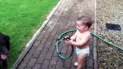 Un bebe que se rie mientras moja a sus perros | A baby who laughs while their dogs grabs