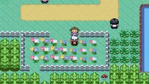 Lets Play Together Pokemon Saphir - Part 12 - Der Weg zu Wiesenflur [HD/Deutsch]
