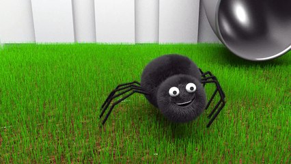 Eine kleine Spinne Kinderreime