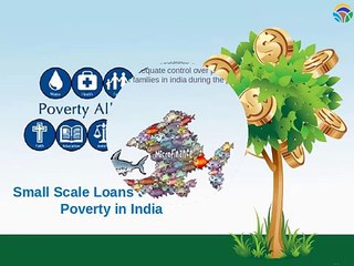 Small Scale Loans to Alleviate Poverty in India