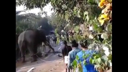 Extreme WhatsApp Funniest Videos