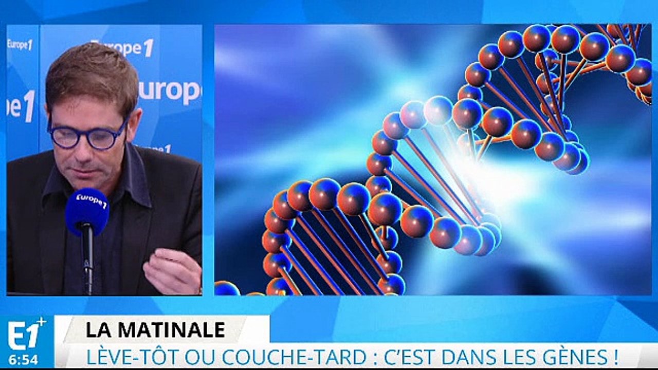 Lève-tôt ou couche-tard : c’est dans les gènes !