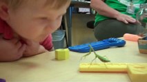 Praying Mantis Tries To Hug Little Boy Most Amazing Video