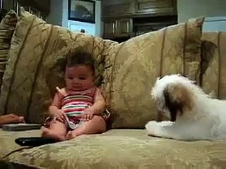funny video VID-20151027-WA0037