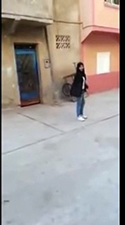 كلب متدرب على خطف الحقائب من النساء