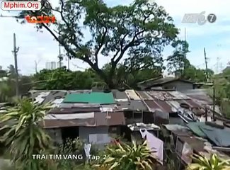 Trái Tim Vàng Tập 28 - Trai Tim Vang Tap 28