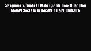 PDF Download A Beginners Guide to Making a Million: 16 Golden Money Secrets to Becoming a Millionaire
