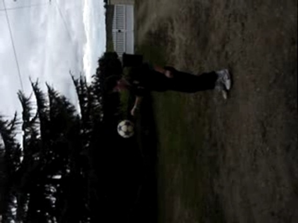 Photo 007