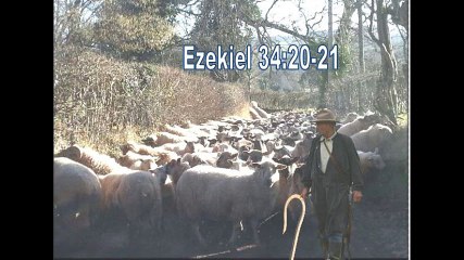 11 Perfect redemption Plan 3 Page 73 - 80