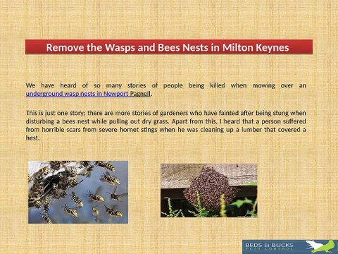 Remove the Wasps and Bees Nests in Milton Keynes