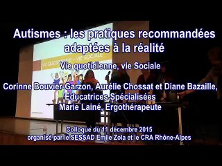 Vie-Quotidienne, Vie Sociale au SESSAD Emile Zola