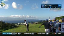 Bubba Watsons Best Golf Shots 2016 Hyundai ToC PGA Tour