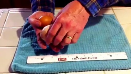 Trouver un oeuf dans un oeuf. Dingue....