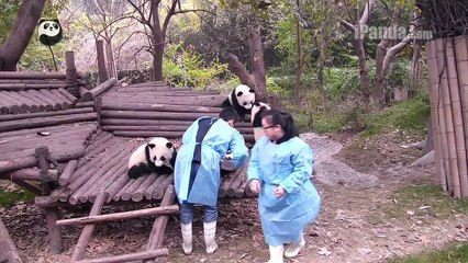 Piggy Back Ride