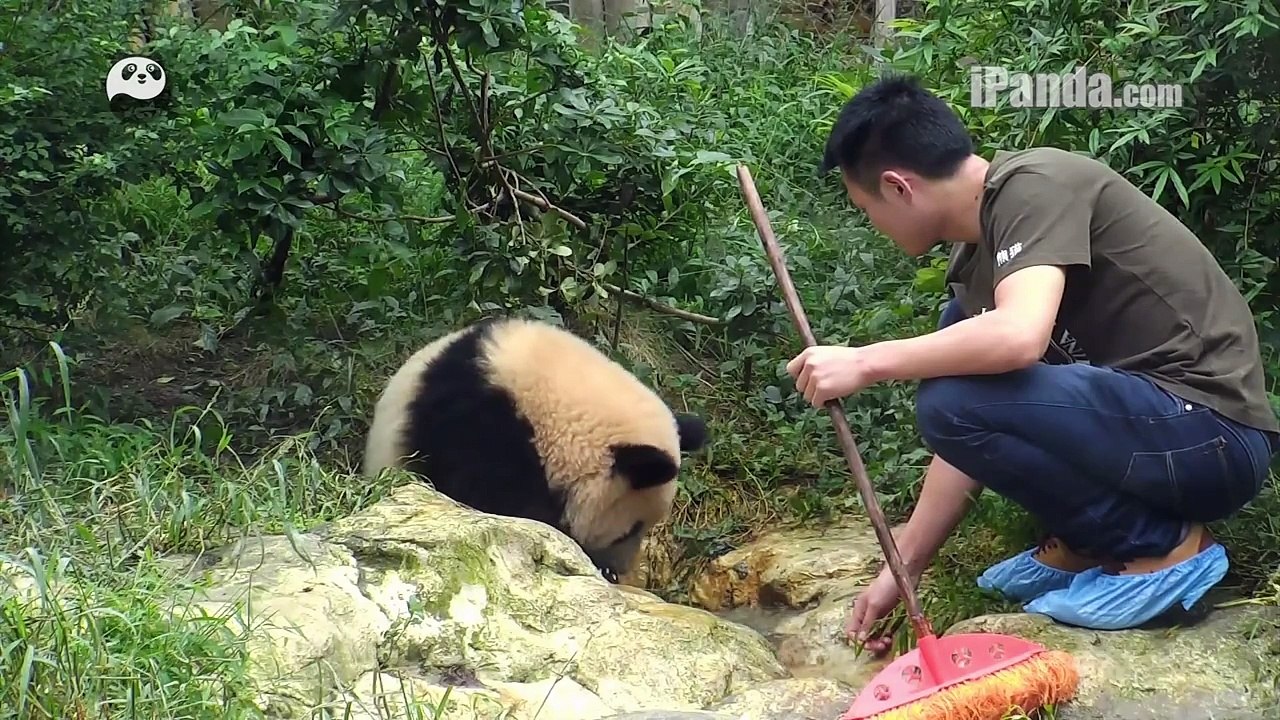 TAKING BATH