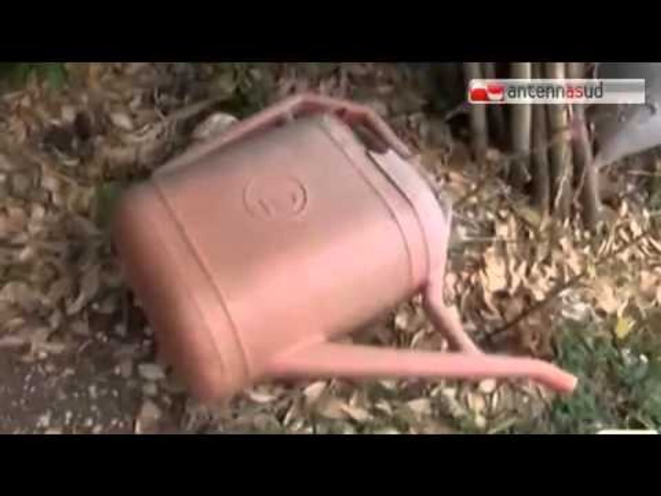 Tg Antenna Sud - Siccità, invasi semivuoti. A rischio il raccolto