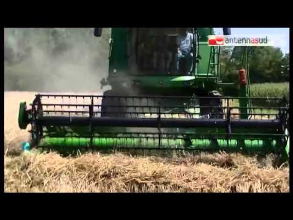 TGSRVfeb03 falso grano e falso olio