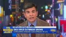 Latest Details on the Zika Virus Outbreak