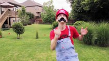 Mario meets Minecraft