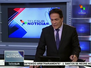 ONU considera que la detención de Julian Assange es ilegal