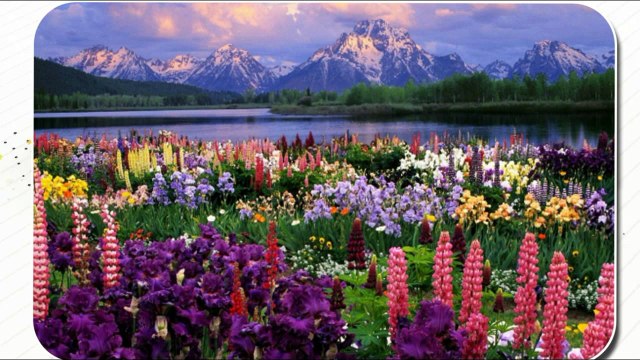 Vincent LAMMOUR , compositeur...Aimer la vie INSTRUMENTAL