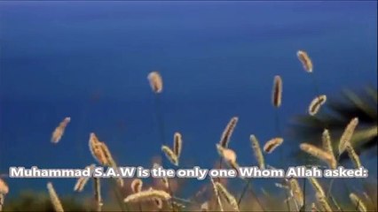 How Angel of Death took Muhammad (SAW)'s Soul ᴴᴰ -- Tariq Jameel --